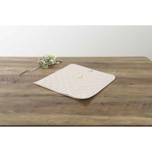 うちわ 収納 推し活 うちわケース アイボリー