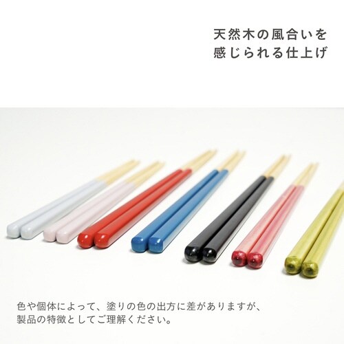 ほんとうにすべらないお箸 23cm ブラック