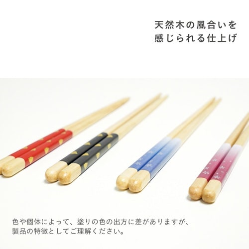 ほんとうにすべらないお箸 21cm レッド