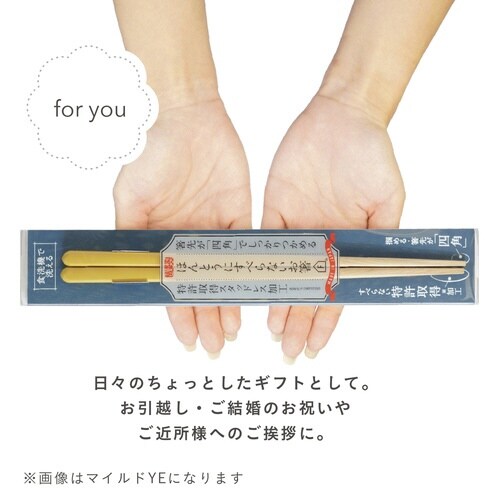 ほんとうにすべらないお箸 23cm ベージュ