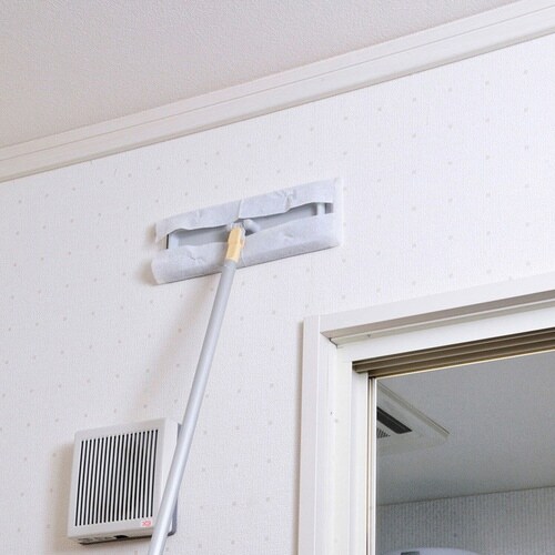 乳酸ウェットシート 脱衣所用 バス用 カビ防止