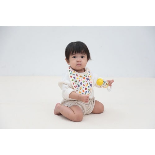 スタイ はらぺこあおむし よだれかけ フルーツ