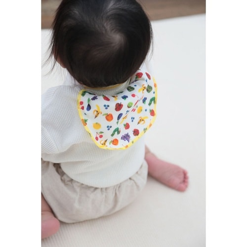 汗取りシート はらぺこあおむし フルーツ フルーツ