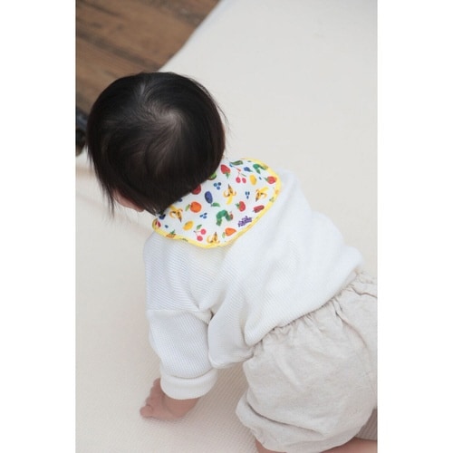 汗取りシート はらぺこあおむし フルーツ フルーツ