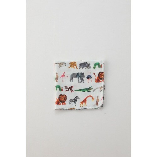 ミニギフトBOX はらぺこあおむし サファリ