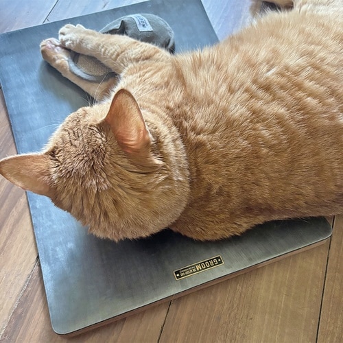 ペットベッド アルミひんやりベッド 夏