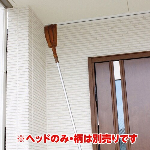 天井払い棕櫚 ヘッドのみ 掃除用品 LL589