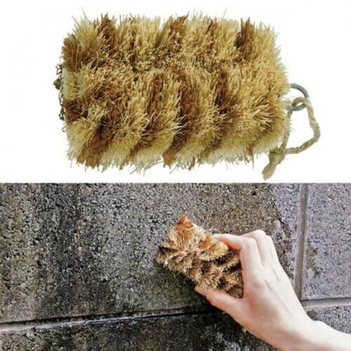 お墓洗い 墓石用 四角い タワシ