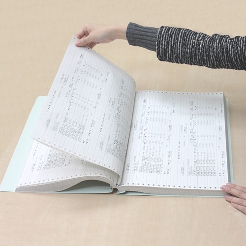 PHファイルPH−1115YB LBL