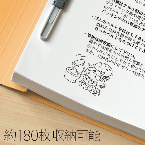 年組氏名フラットファイルB5SYL×20