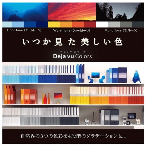 DEJA VU ボックスFワイド BRR