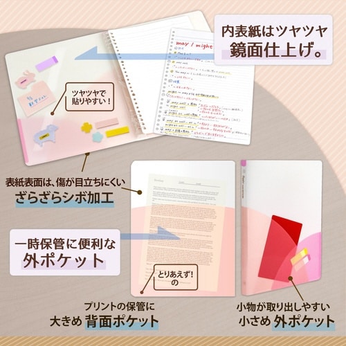 PASTYルーズリーフバインダーS PP