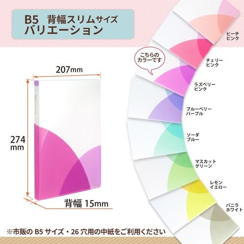 PASTYルーズリーフバインダーS RP