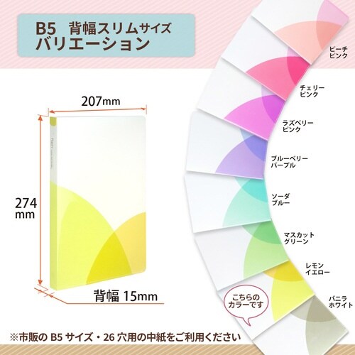 PASTYルーズリーフバインダーS LY