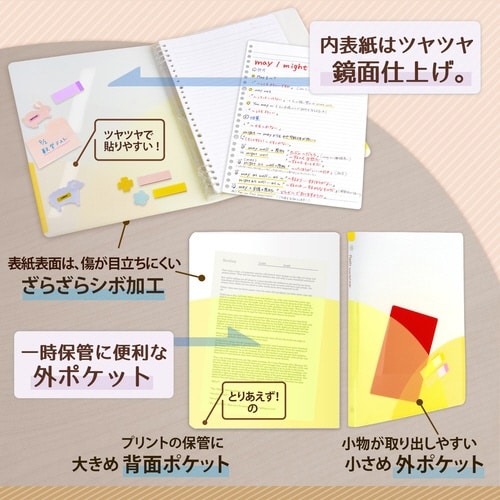 PASTYルーズリーフバインダーS LY