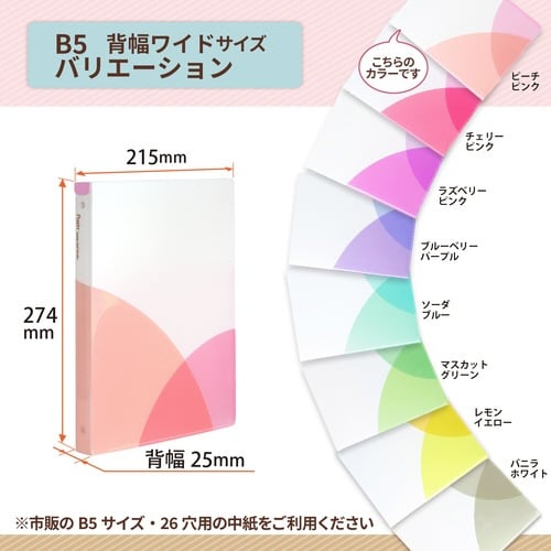 PASTYルーズリーフバインダーW PP