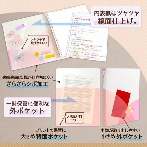 PASTYルーズリーフバインダーW PP