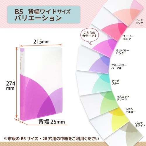 PASTYルーズリーフバインダーW RP