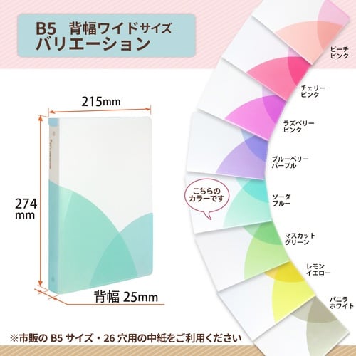 PASTYルーズリーフバインダーW SB