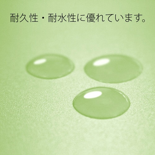 PPフラットファイル A3E GR