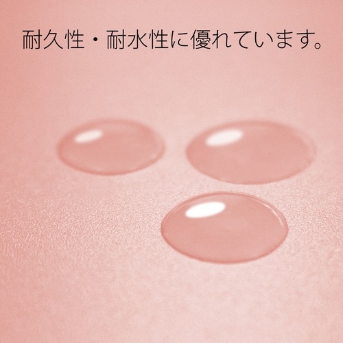 PPフラットファイル A3E PK