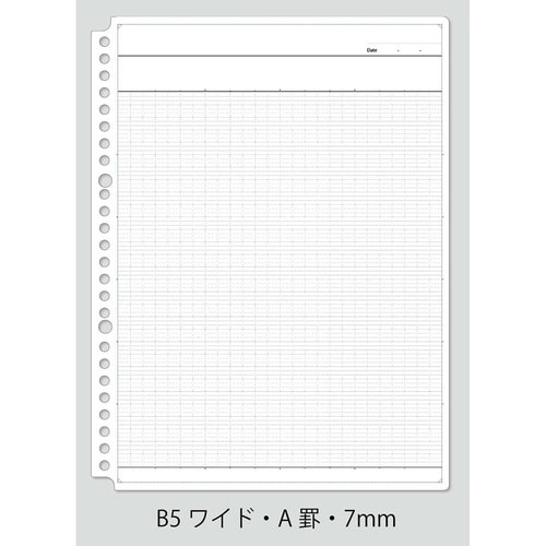 ロジカル・ハレルンワイドリーフB5 50A×60