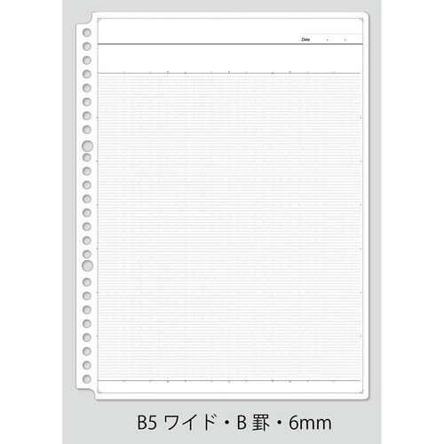 ロジカル・ハレルンワイドリーフB5 50B×60