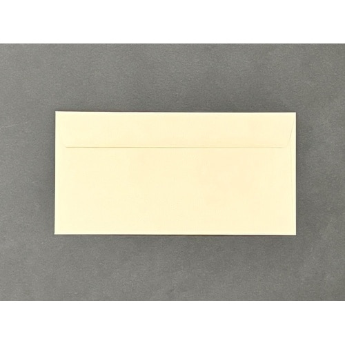 洋長3 ハーフトーンベージュ 100g 03058