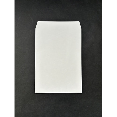 角2 透けない白 100g 31451