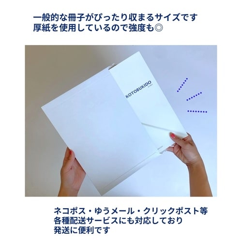 ビジネスレターケース225×312mm 32004