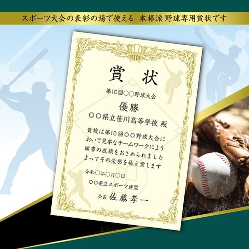 スポーツ賞状用紙A4判 野球 横書用×5