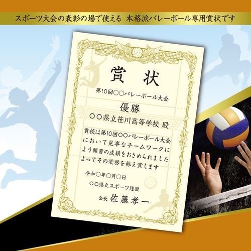 スポーツ賞状用紙 バレー 横書用×5