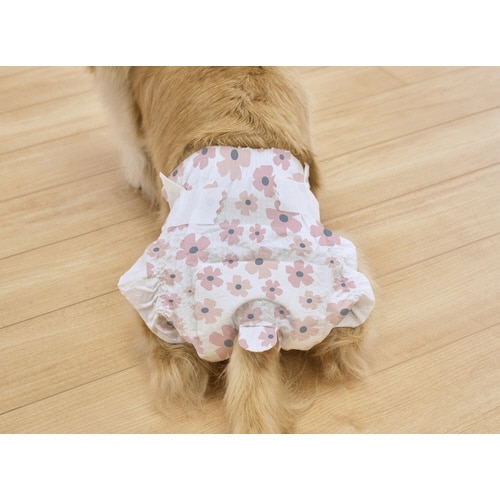 ペット用おむつピタフィットXS38枚 女の子用