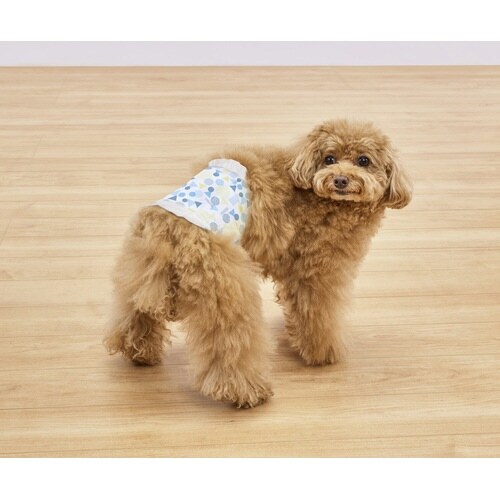 ペット用おむつピタフィットS46枚 男の子用