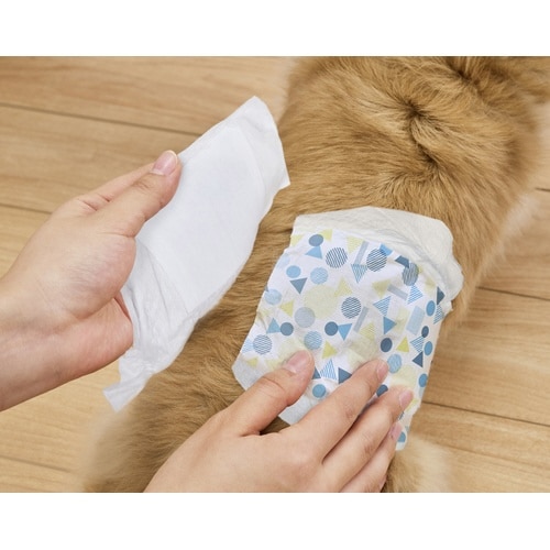 ペット用おむつピタフィットS46枚 男の子用