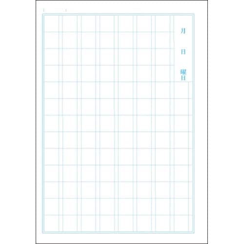 B5セレクト学習帳かんじれんしゅう100×10