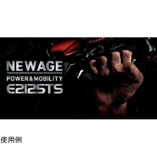 新ダイワ エンジンチェンソー E2125