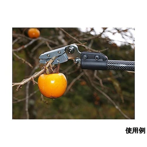 1.2m 高枝鋏(軽量・採取型) EA6