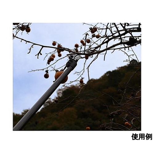 1.8m 高枝鋏(軽量・採取型) EA6