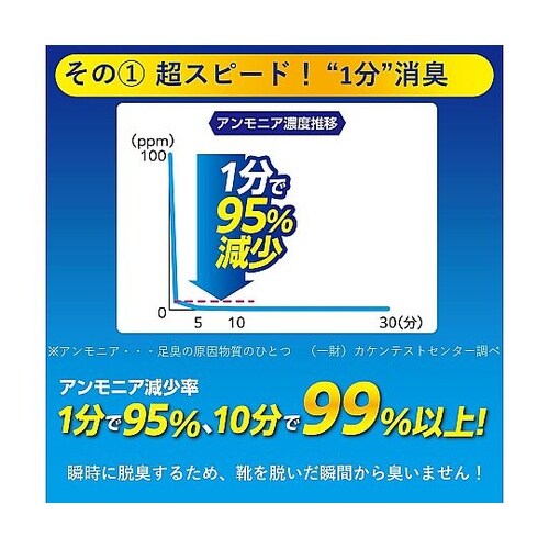 Silica Comfort 履く脱臭剤