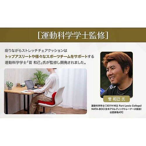 BEELAZY 座りながらストレッチ チ