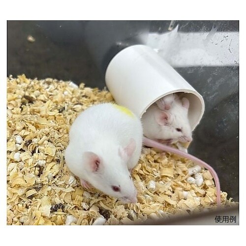 小動物用エンリッチメントロール 小 1袋