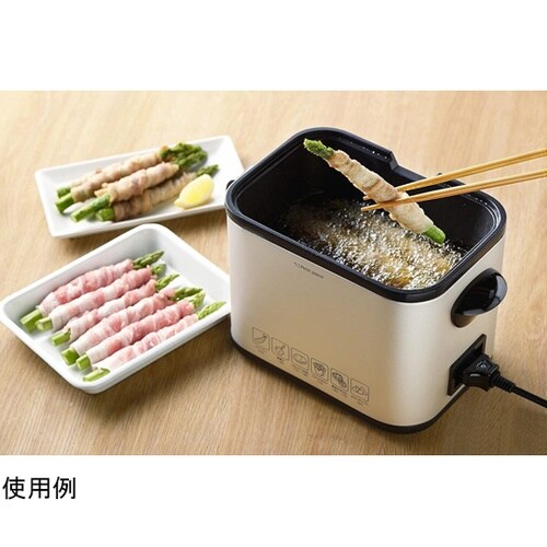 プチ・プレジール 電気角形フライヤー P