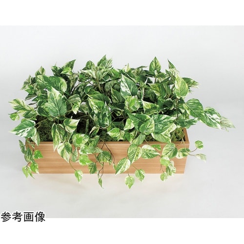 卓上ポット 850×550×420mm