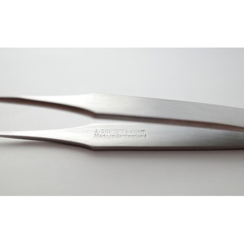 バイオロジーピンセット 110mm 02