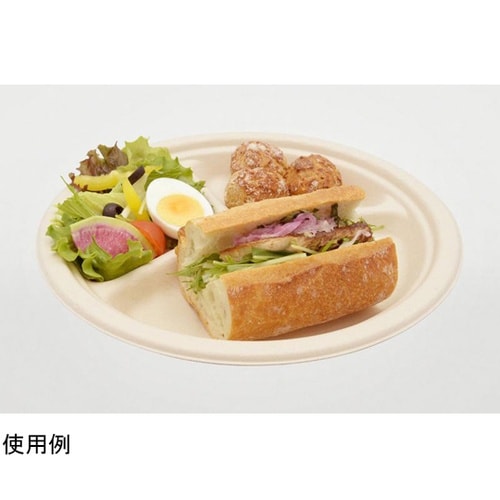 パルプモールド MB丸プレート250−3