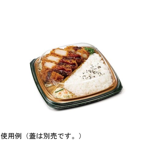 弁当容器 バイオ マウント 21−21−