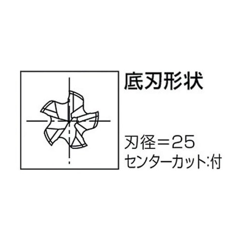 VコートXPMラフィング ショート ファ