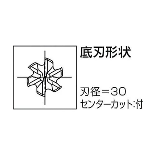 VコートXPMラフィング ショート ファ