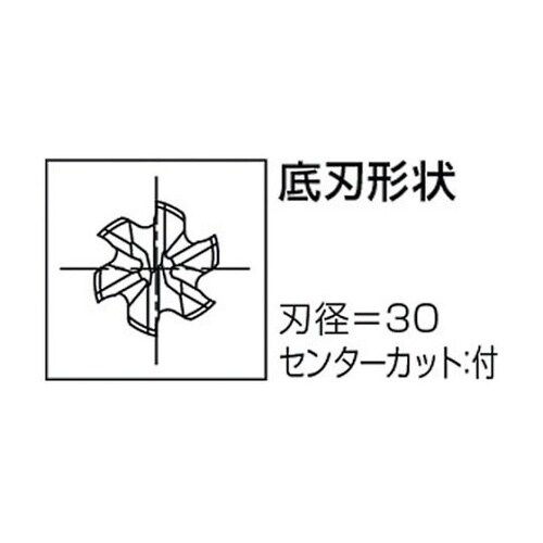 VコートXPMラフィング ショート ファ